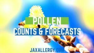 Understanding Pollen Counts: Jacksonville Pollen Allergy Forecasts FAQs